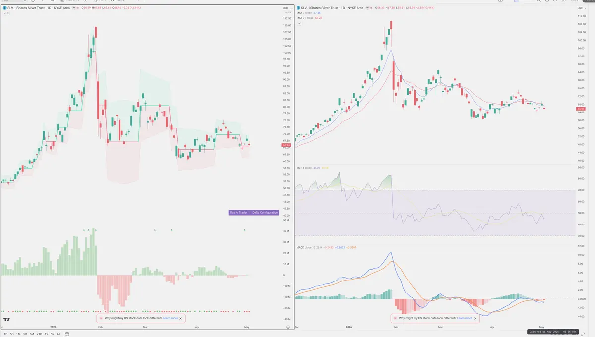 SLV — Delta + Technical