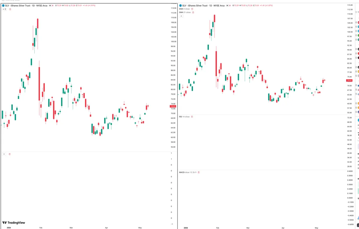 SLV — Delta + Technical