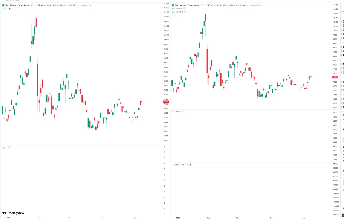 SLV — Delta + Technical