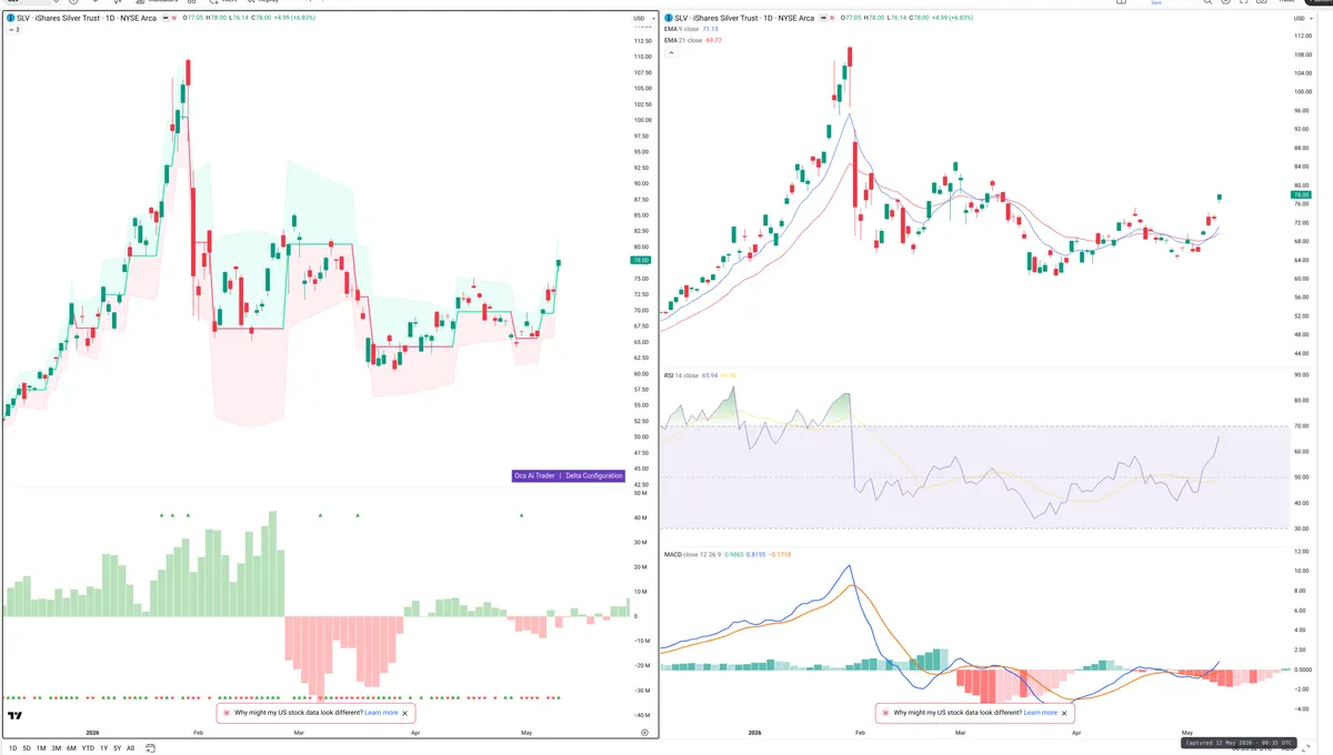 SLV — Delta + Technical