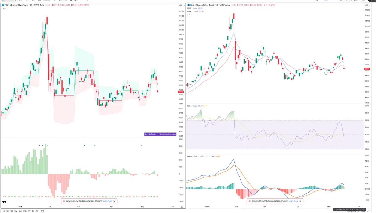 SLV — Delta + Technical