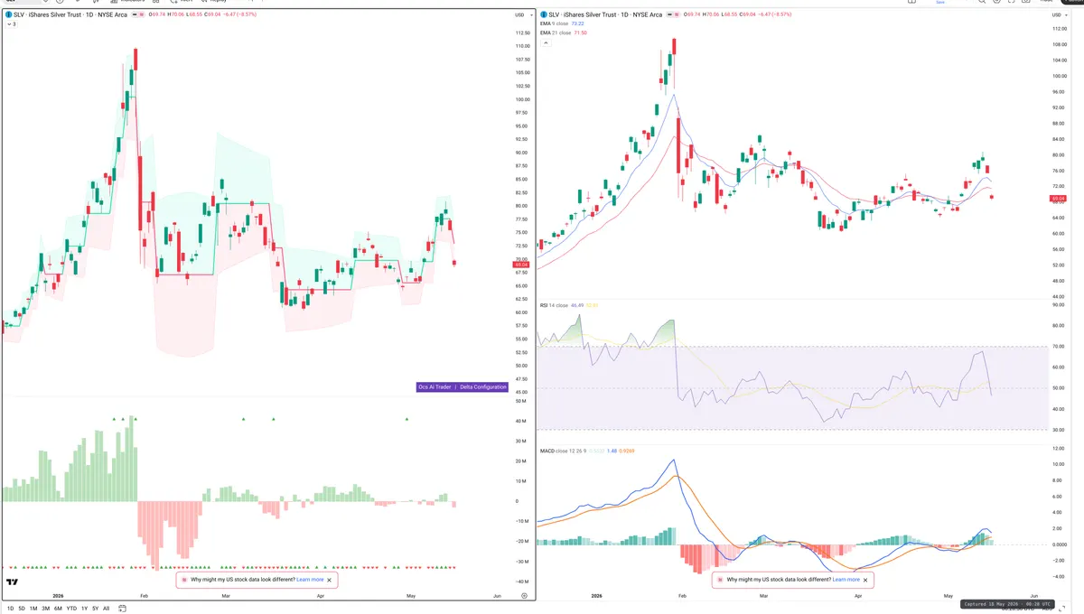 SLV — Delta + Technical