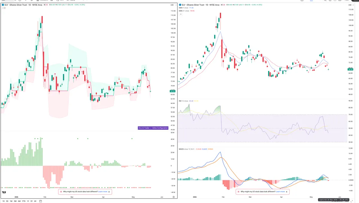 SLV — Delta + Technical