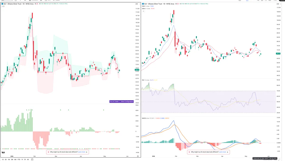 SLV — Delta + Technical