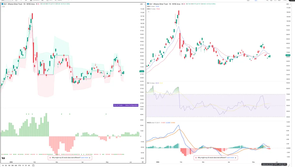 SLV — Delta + Technical