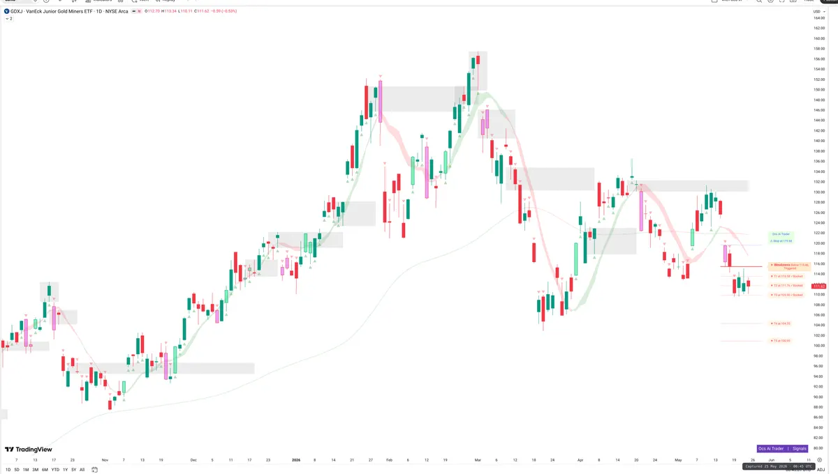 GDXJ — Signals + Liquidity