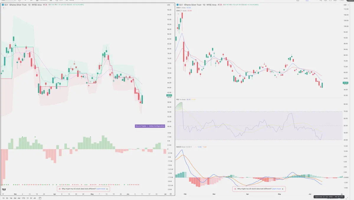 SLV — Delta + Technical