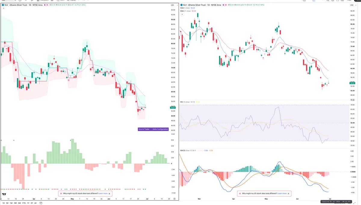SLV — Delta + Technical