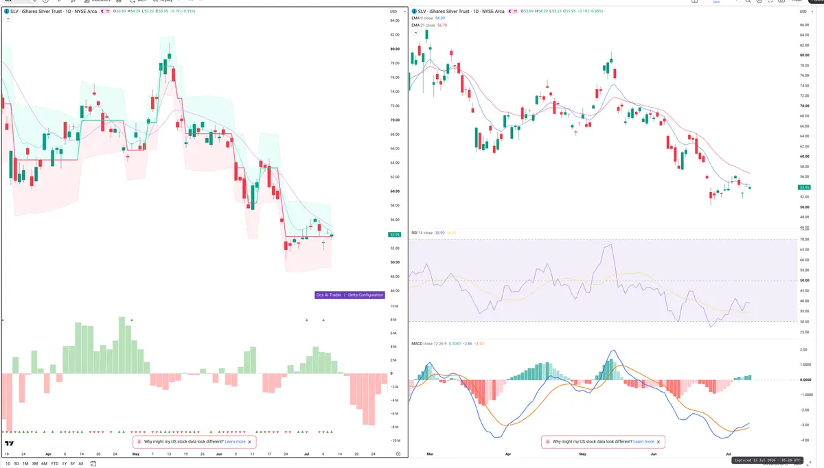 SLV — Delta + Technical