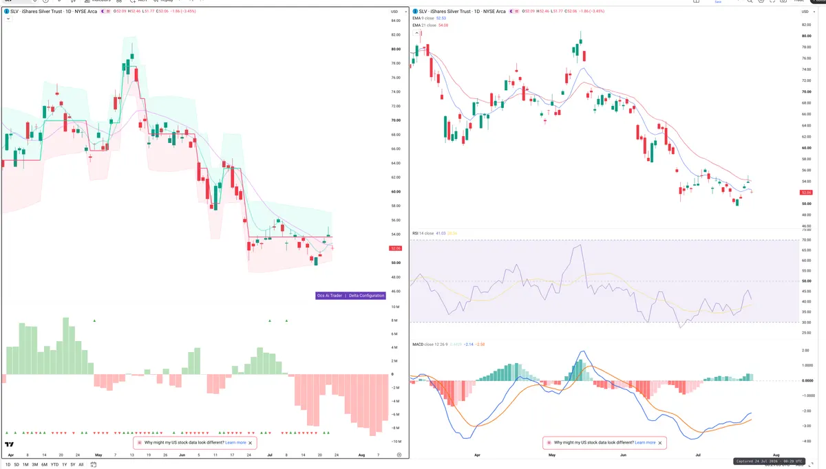 SLV — Delta + Technical