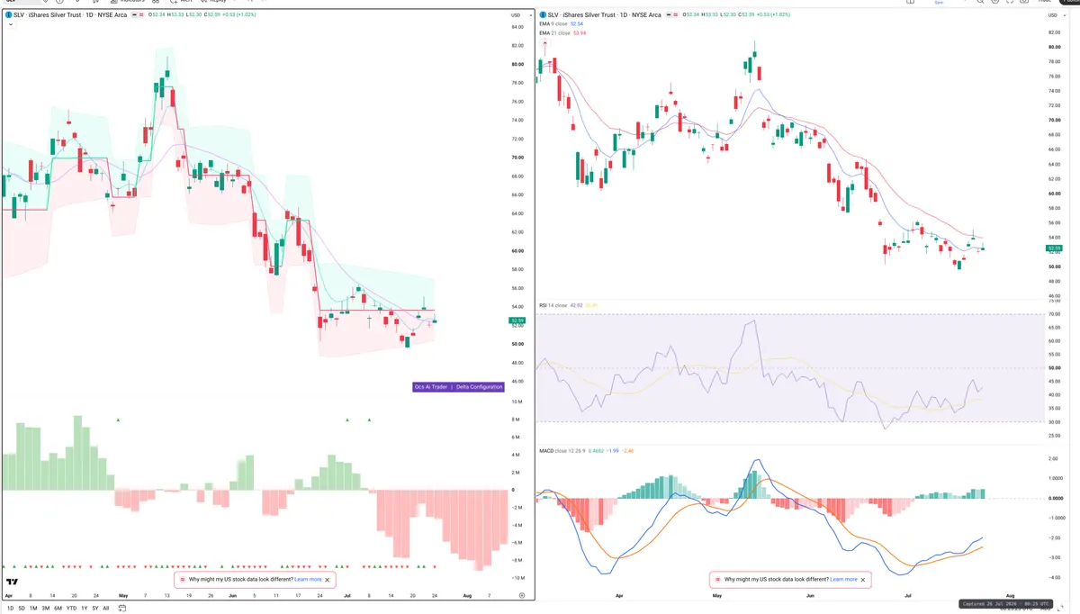 SLV — Delta + Technical
