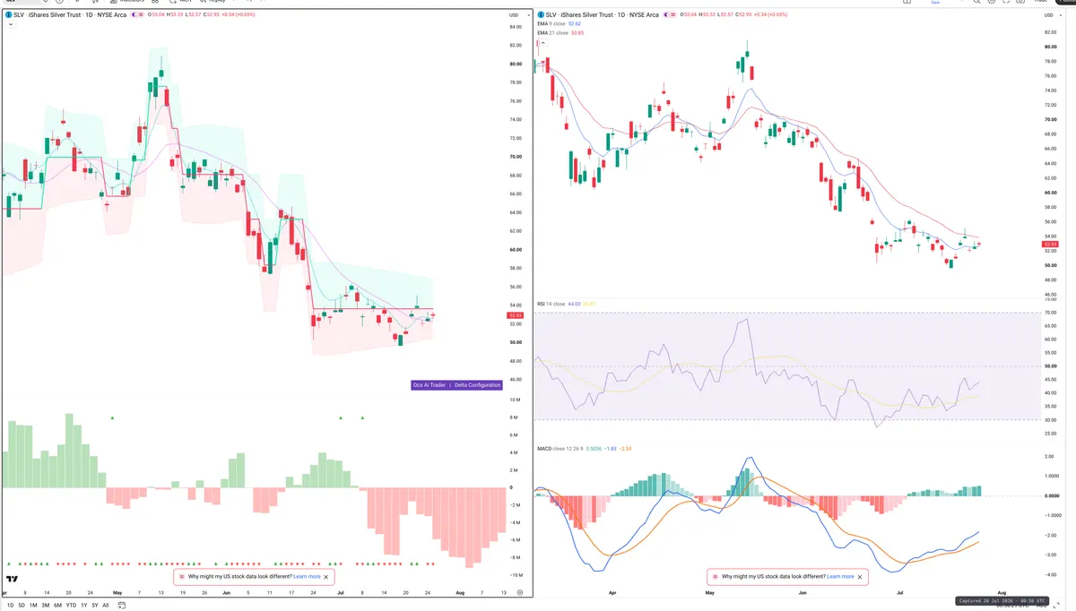 SLV — Delta + Technical