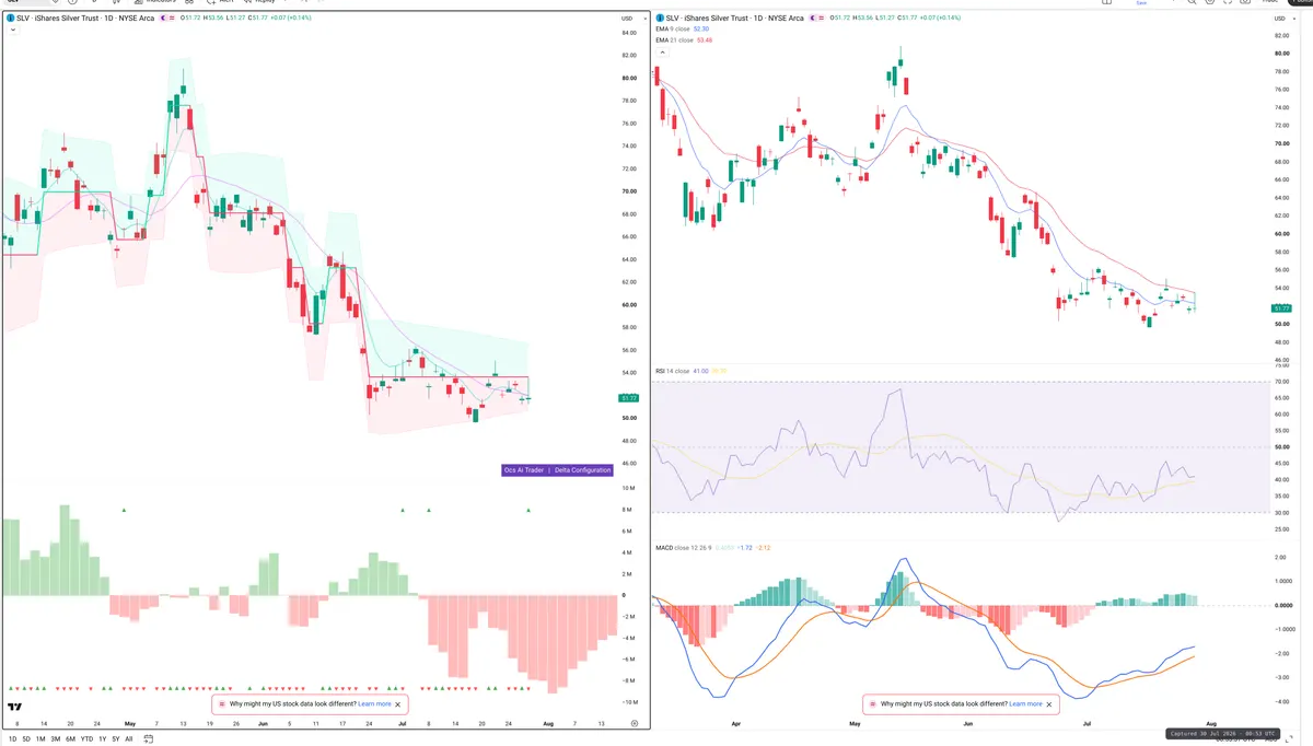 SLV — Delta + Technical