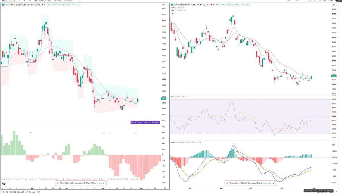 SLV — Delta + Technical