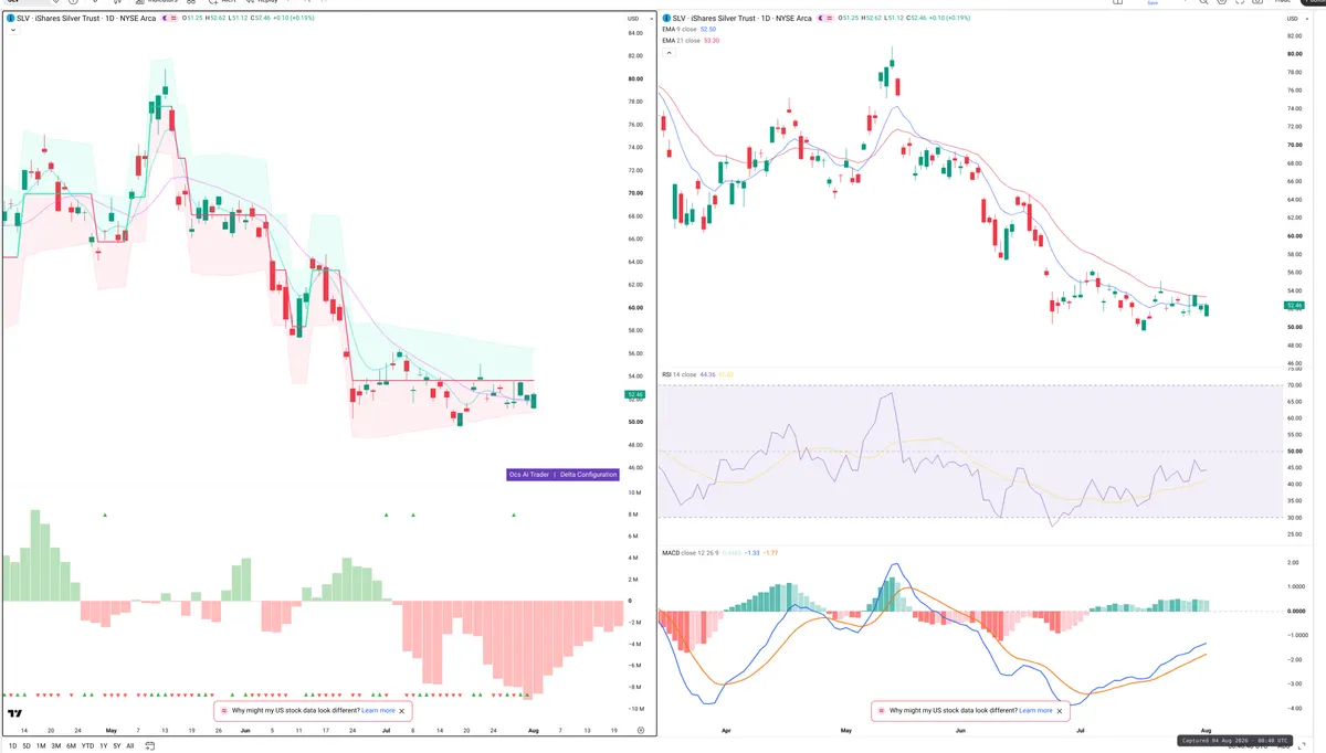 SLV — Delta + Technical