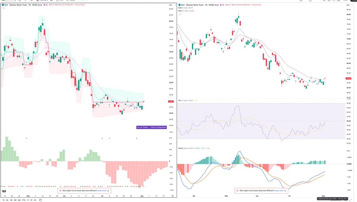 SLV — Delta + Technical
