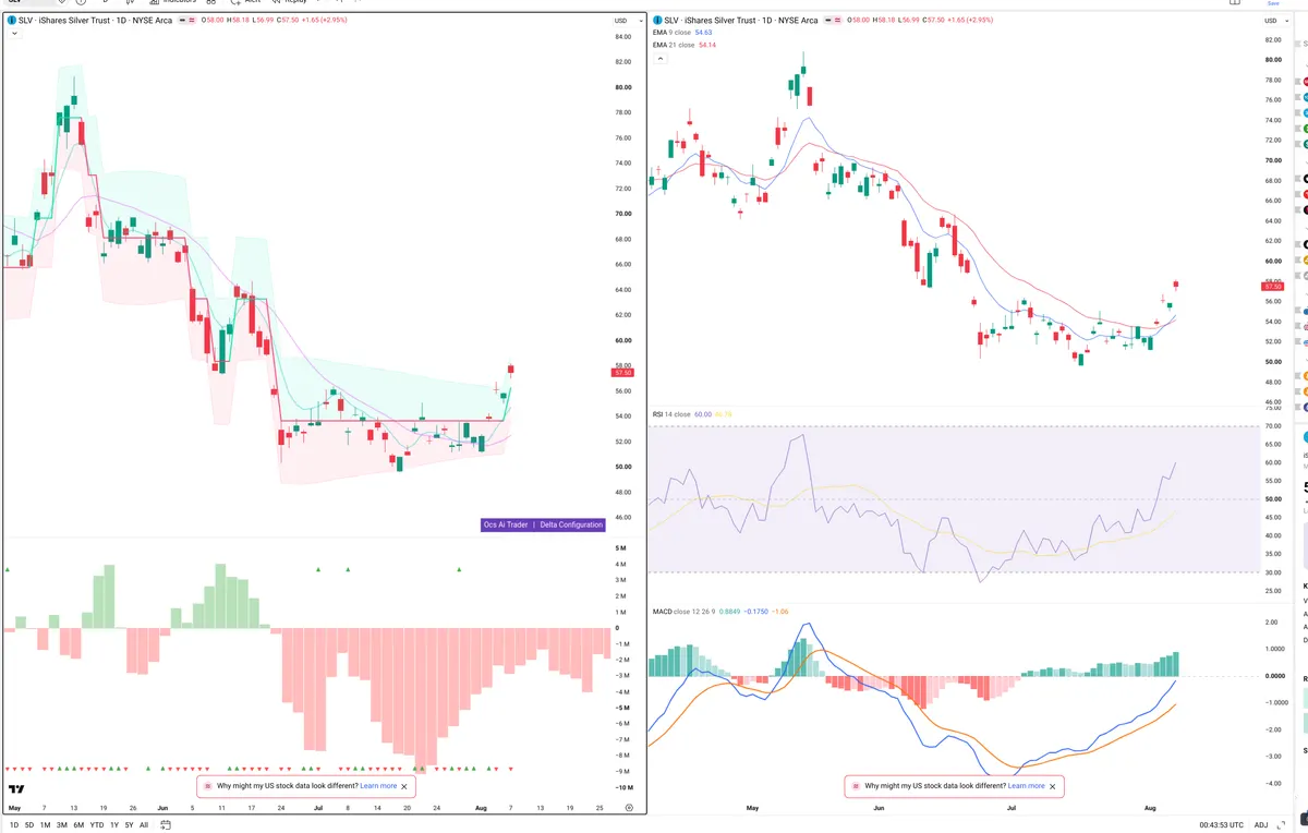 SLV — Delta + Technical