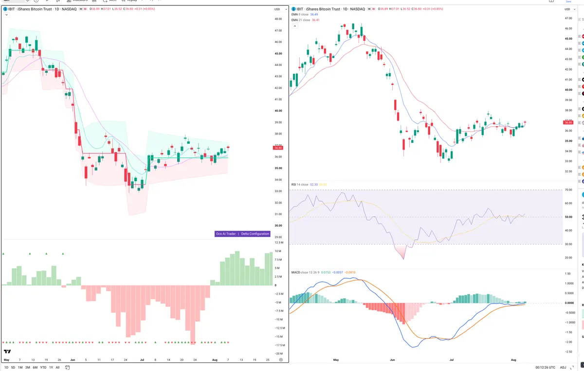 IBIT — Delta + Technical