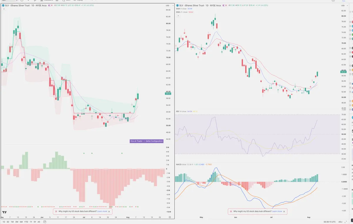 SLV — Delta + Technical