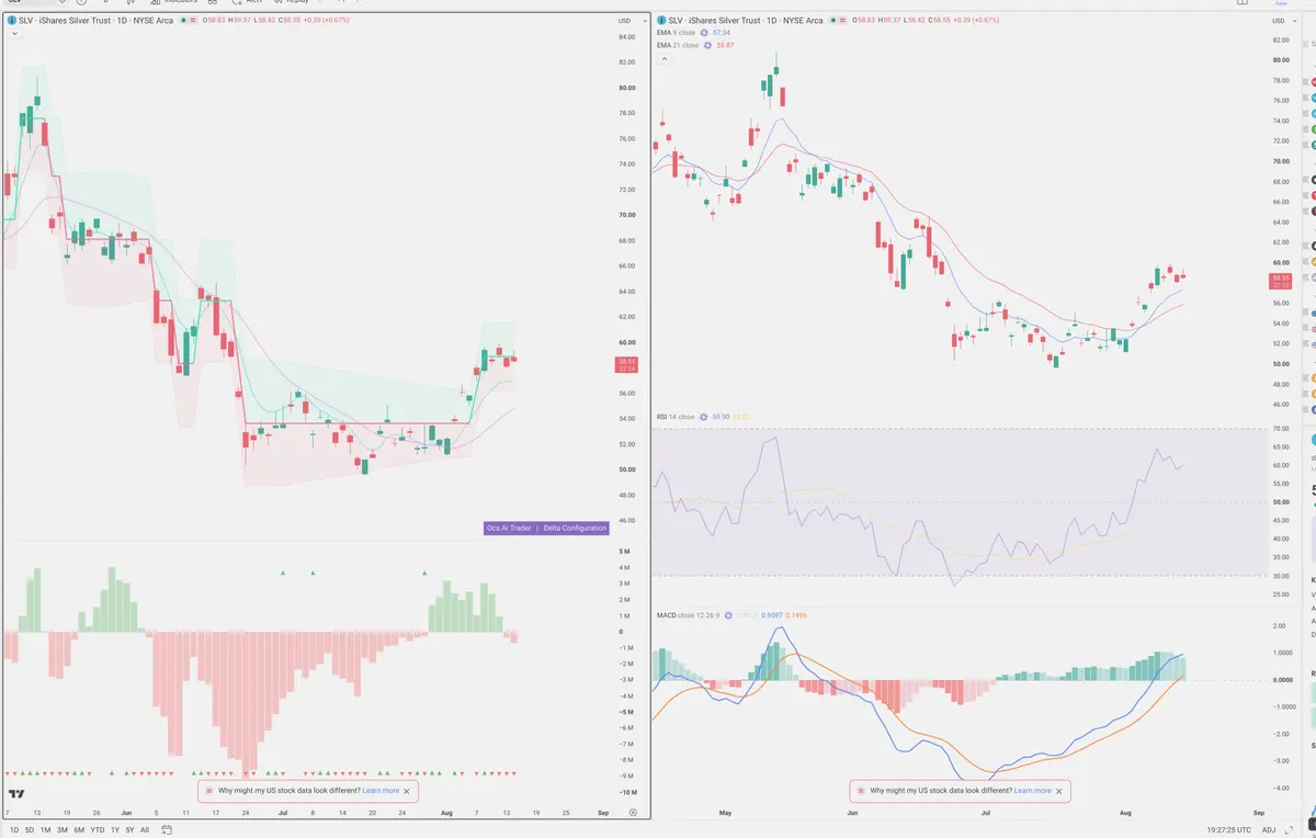 SLV — Delta + Technical