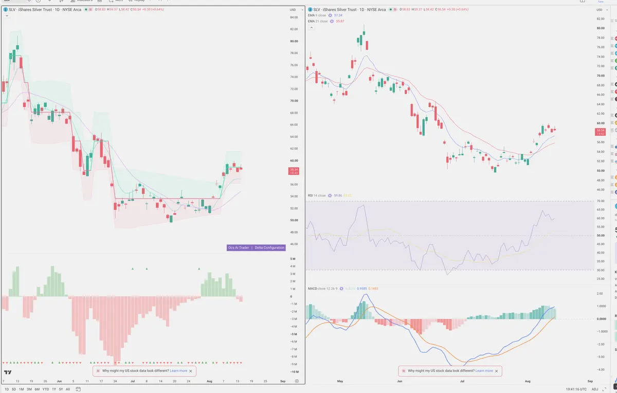 SLV — Delta + Technical