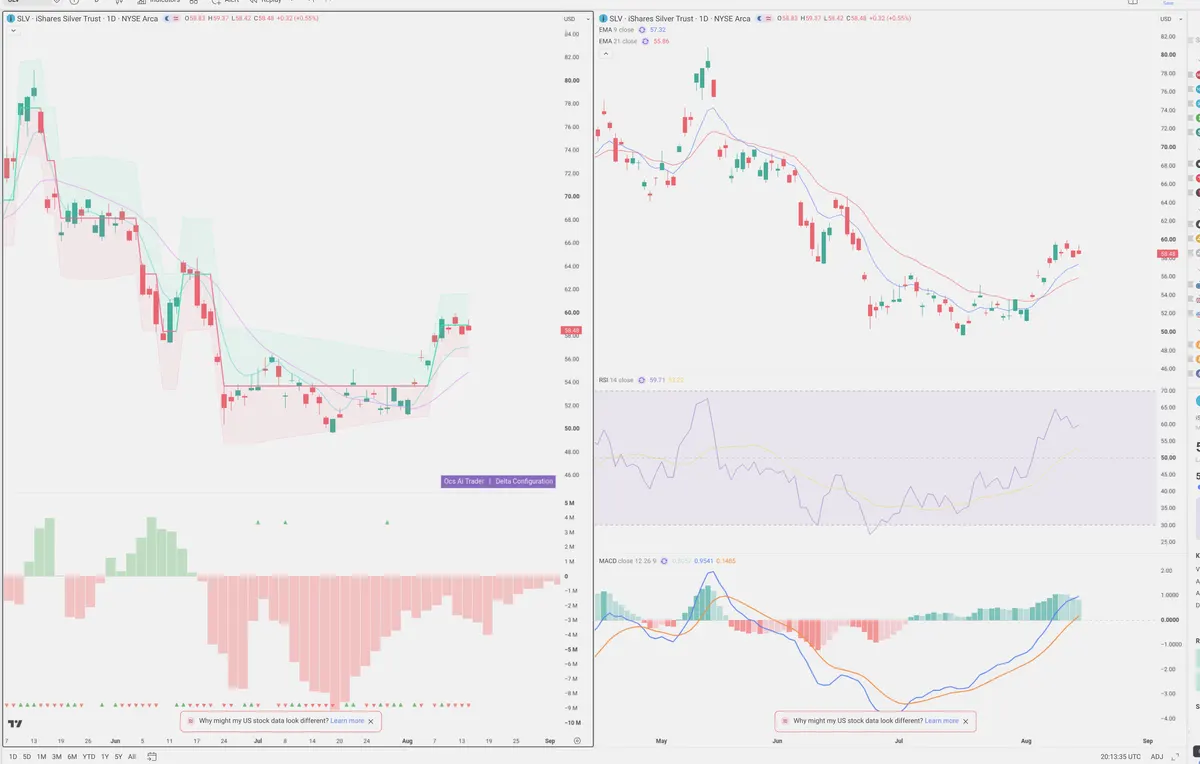 SLV — Delta + Technical