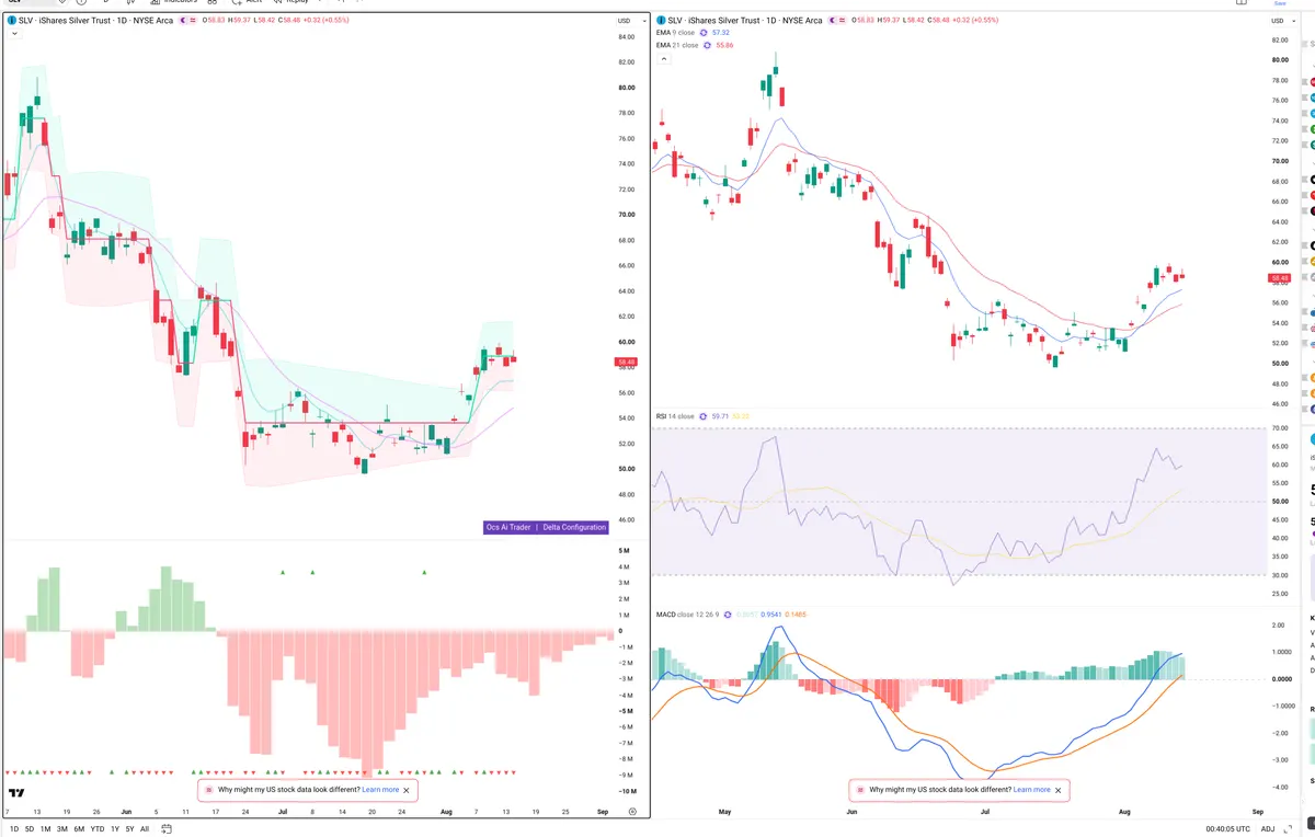 SLV — Delta + Technical