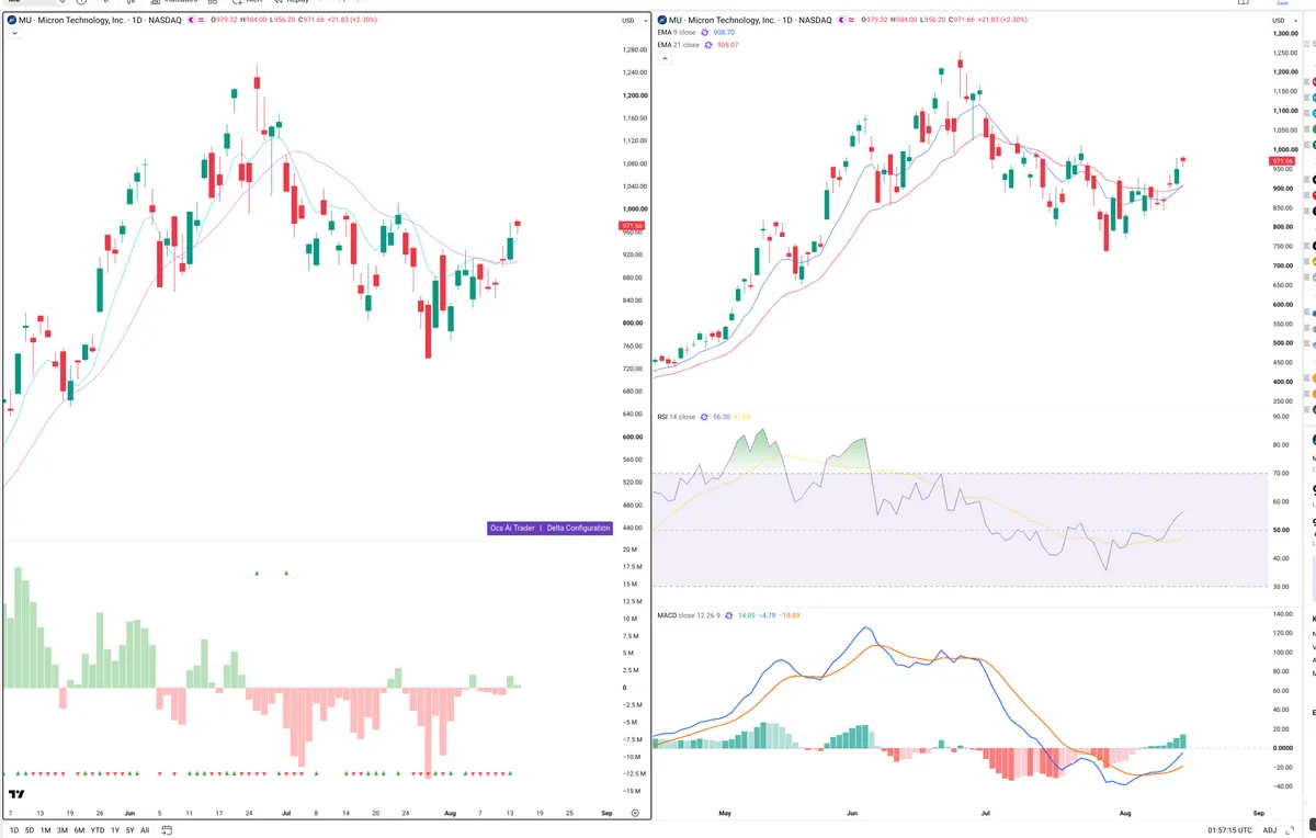 MU — Delta + Technical