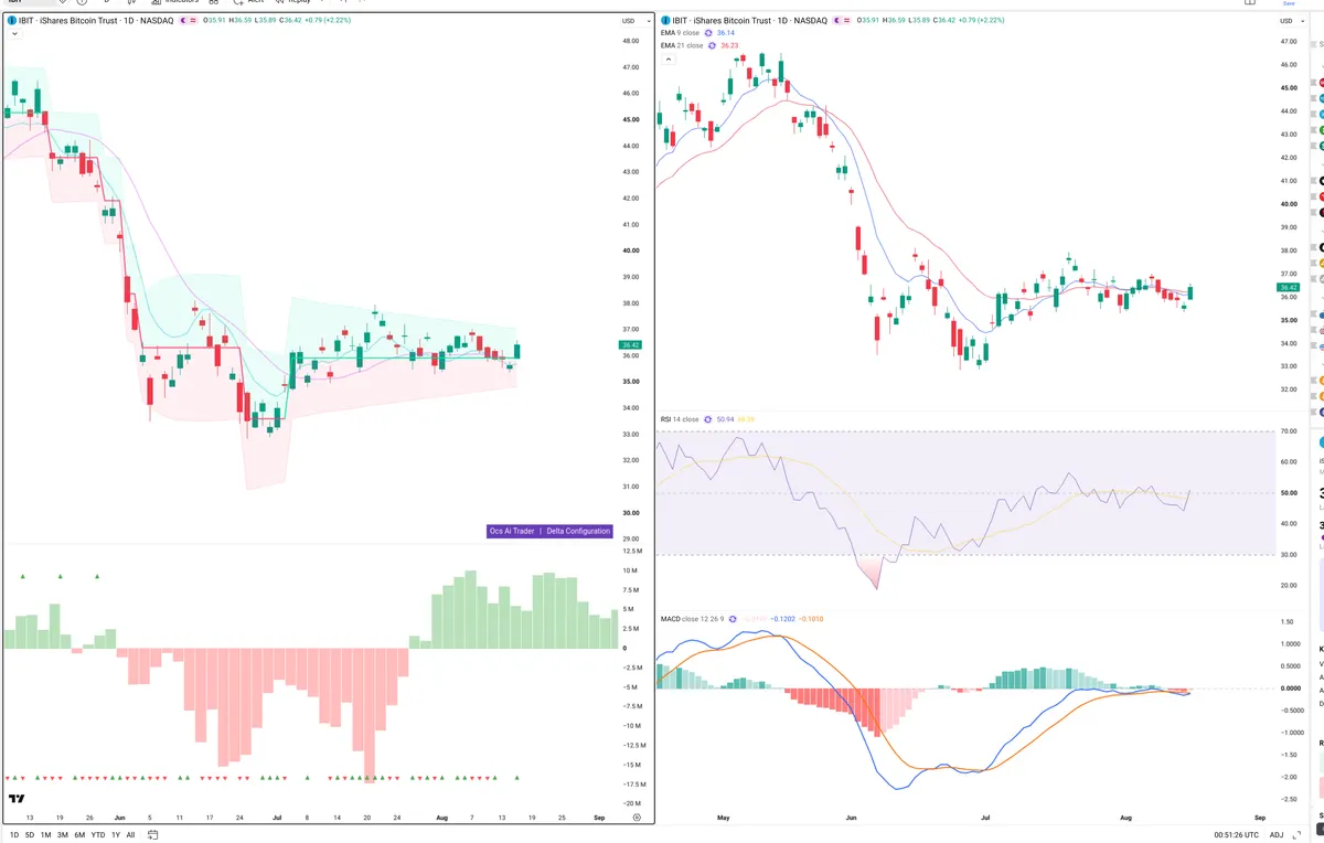 IBIT — Delta + Technical