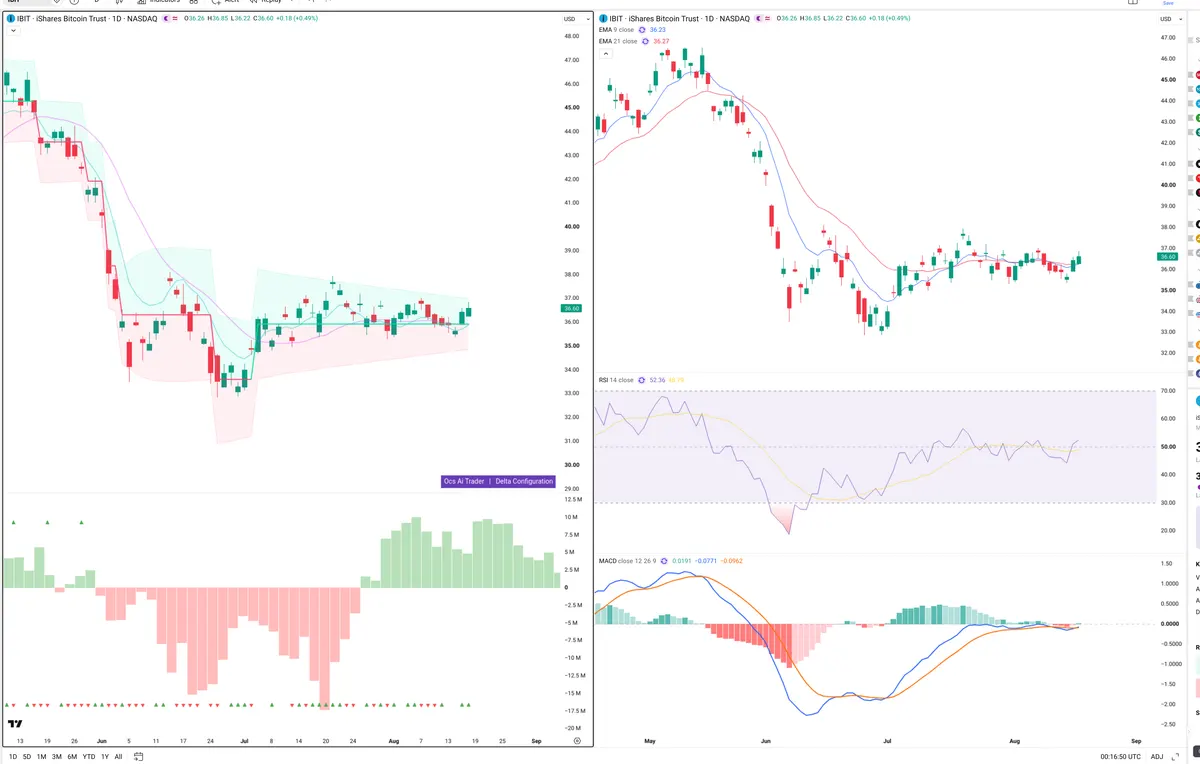 IBIT — Delta + Technical