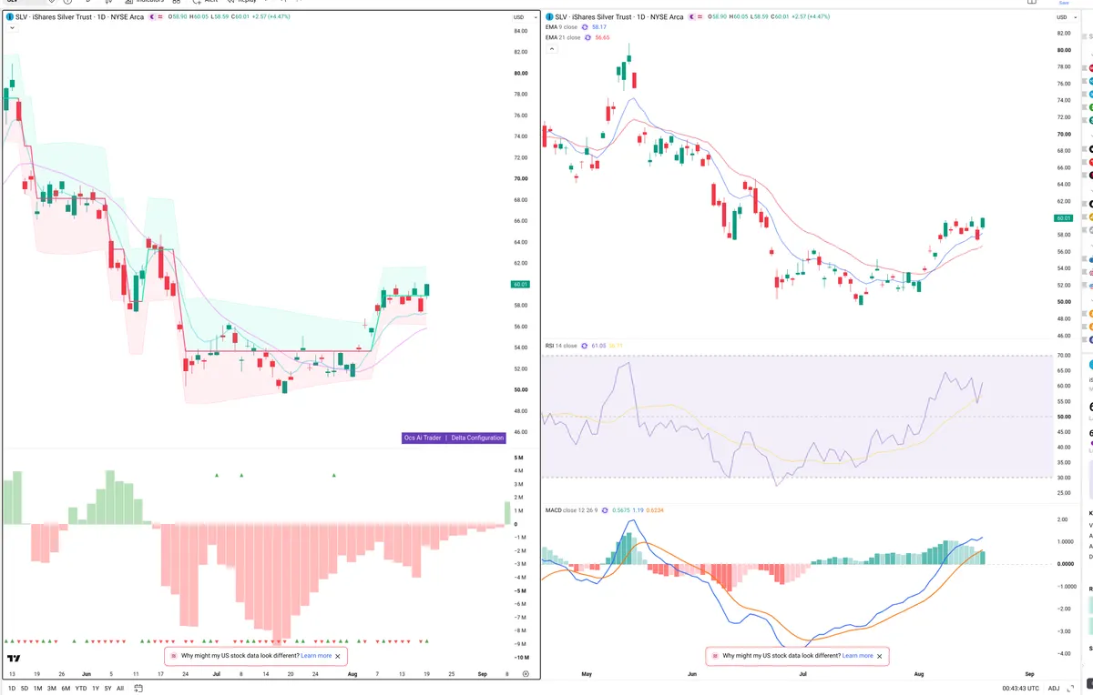 SLV — Delta + Technical