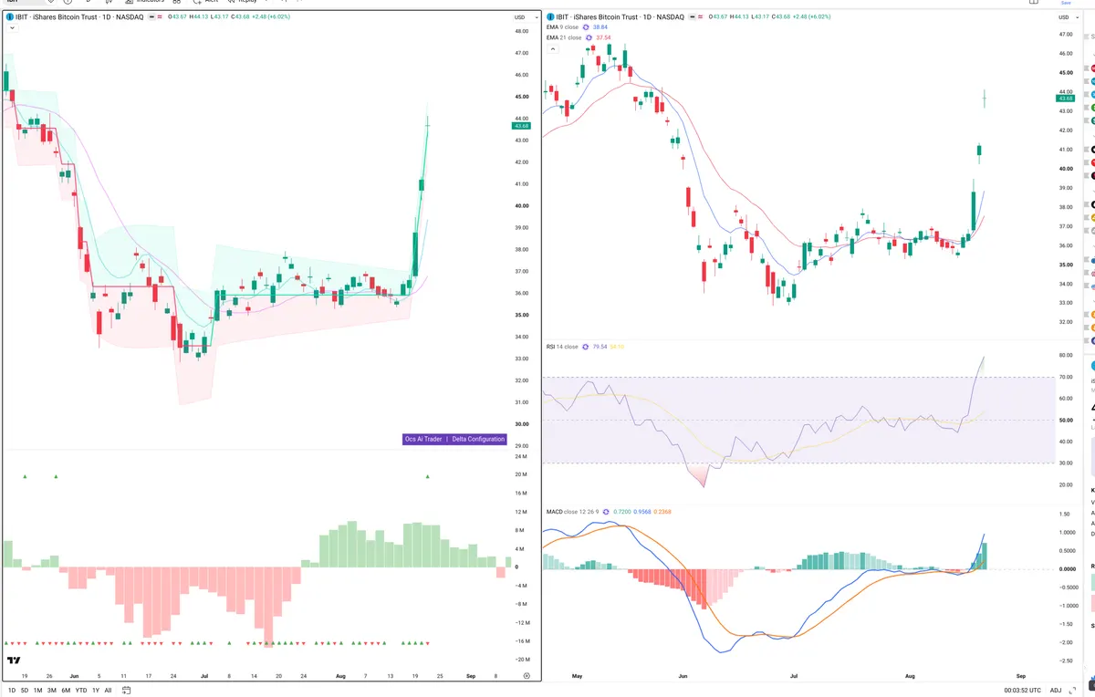 IBIT — Delta + Technical