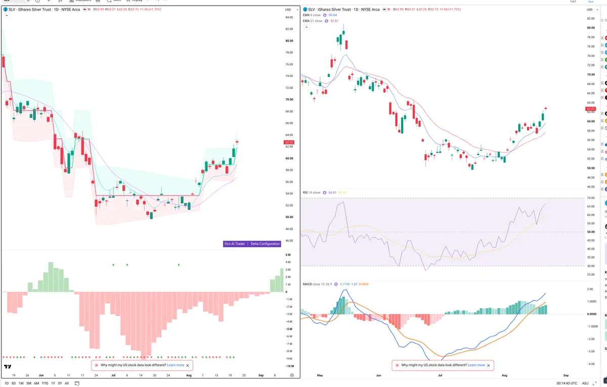 SLV — Delta + Technical
