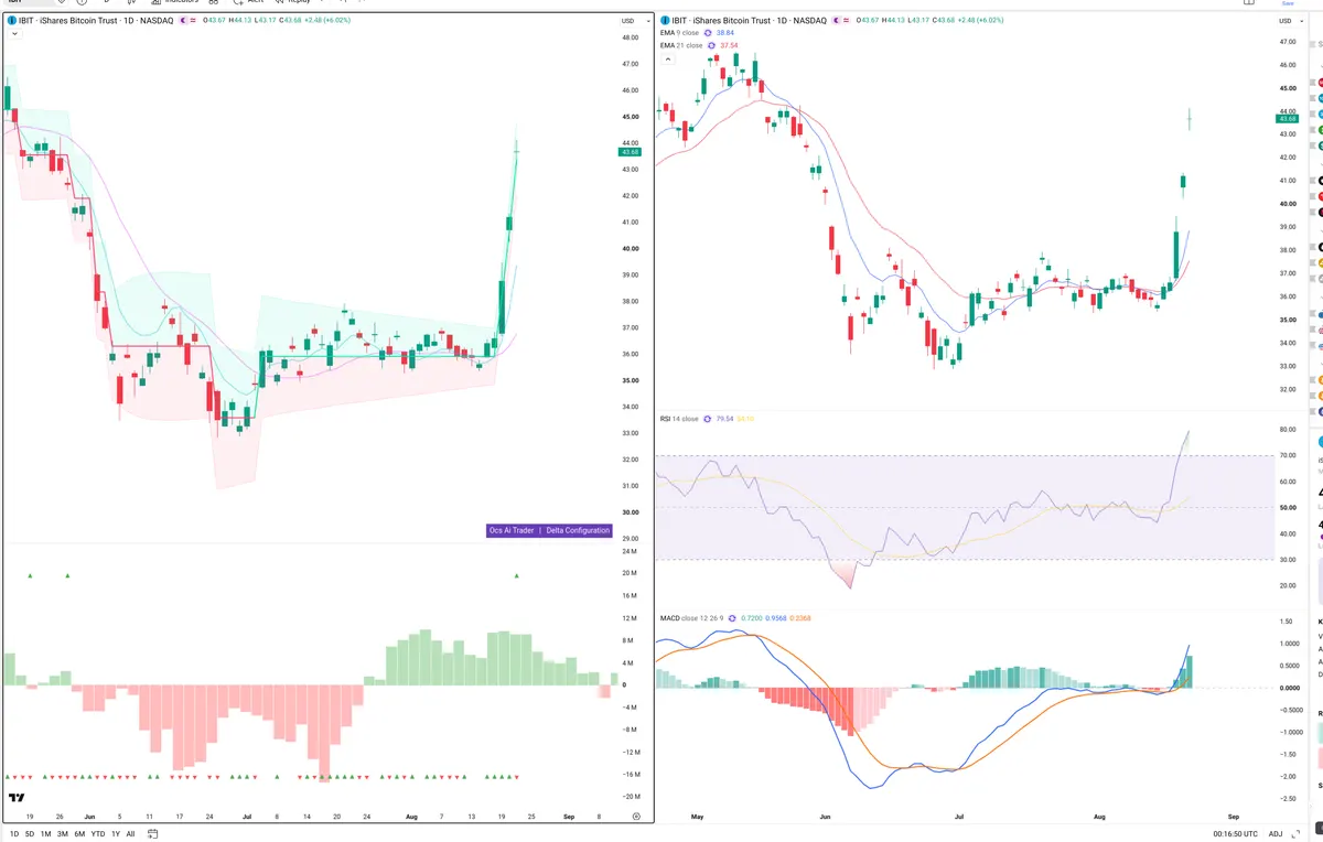 IBIT — Delta + Technical