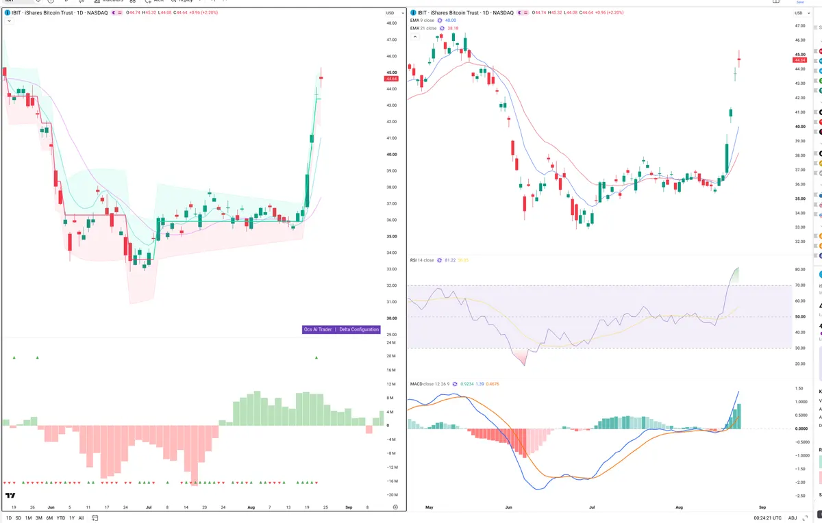 IBIT — Delta + Technical