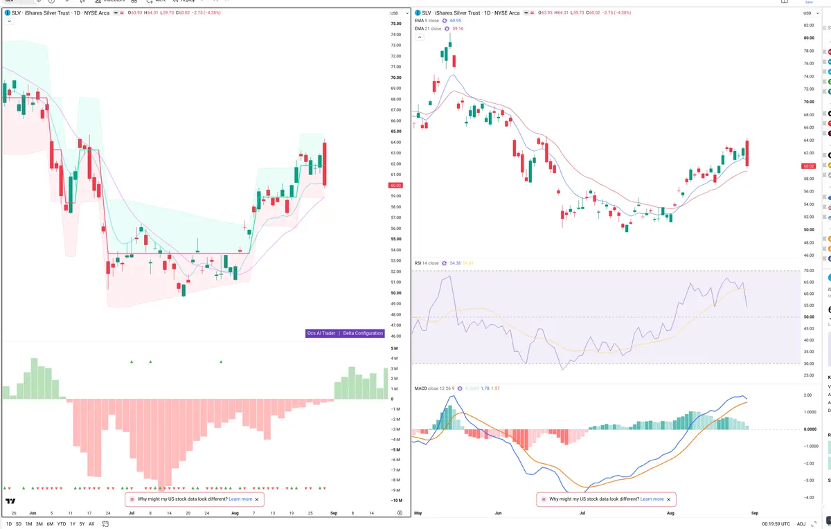 SLV — Delta + Technical