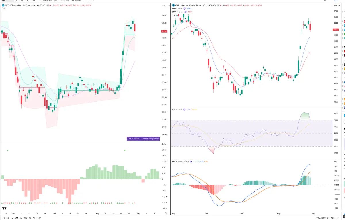 IBIT — Delta + Technical