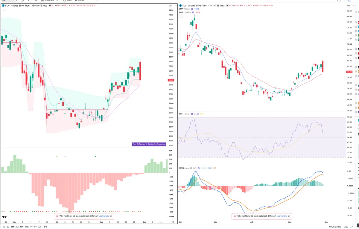 SLV — Delta + Technical