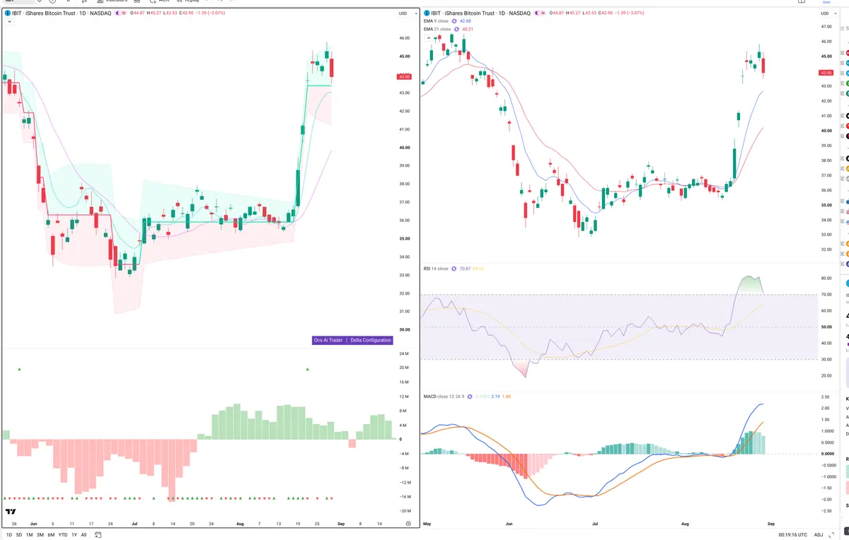 IBIT — Delta + Technical