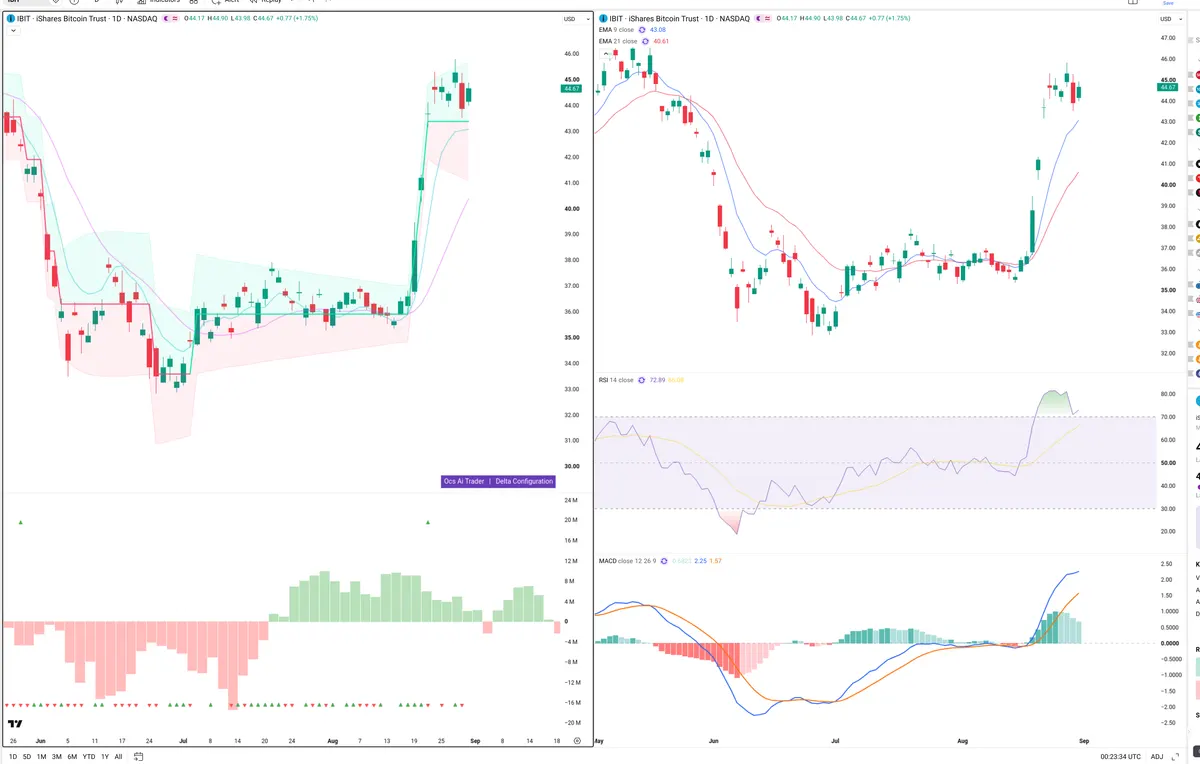 IBIT — Delta + Technical