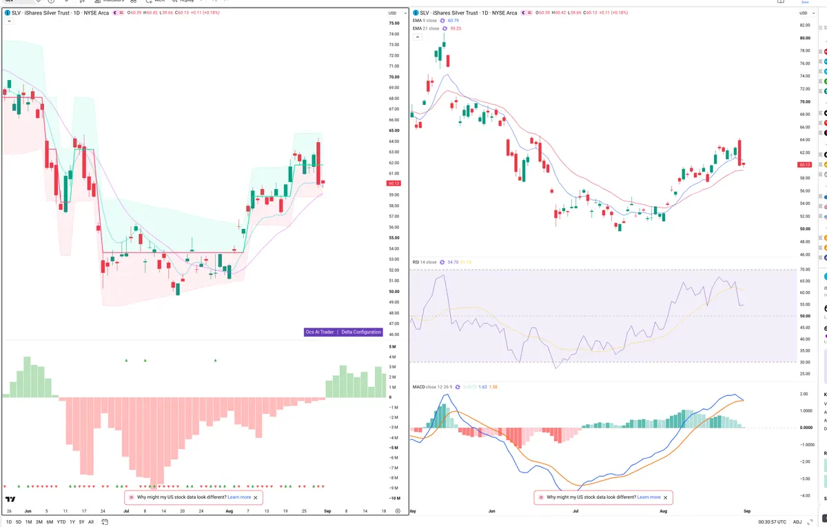 SLV — Delta + Technical