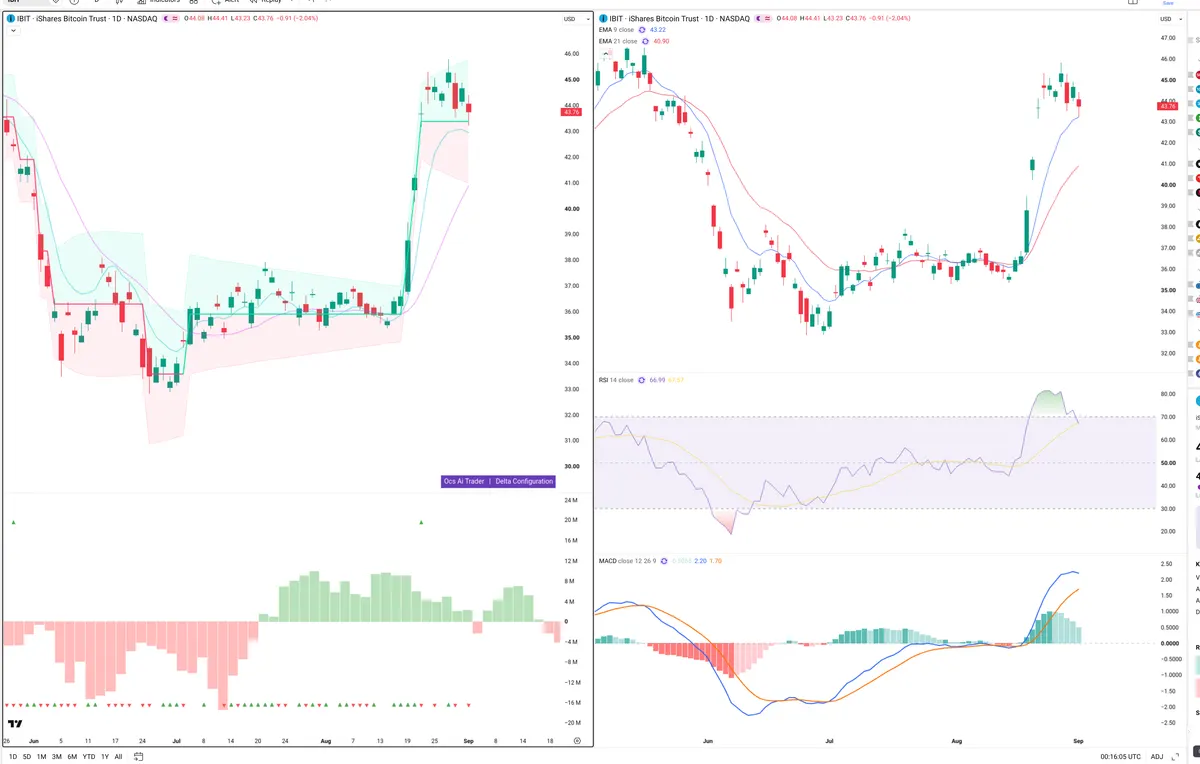 IBIT — Delta + Technical