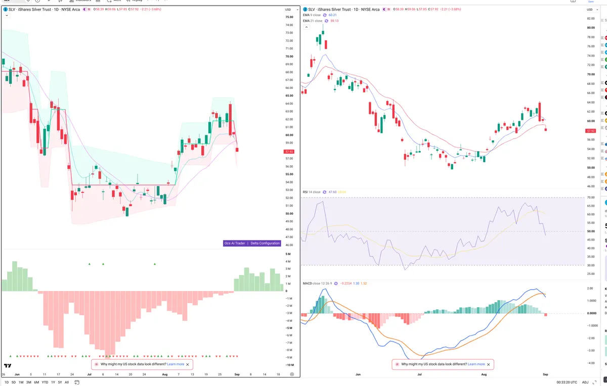 SLV — Delta + Technical