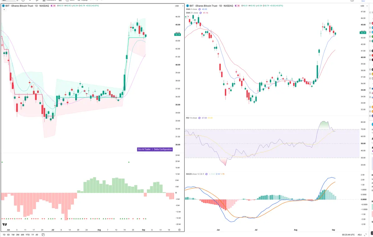IBIT — Delta + Technical