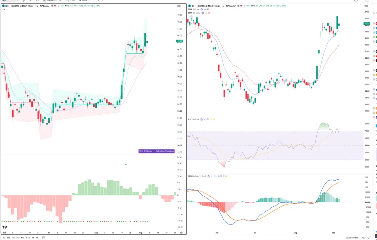 IBIT — Delta + Technical