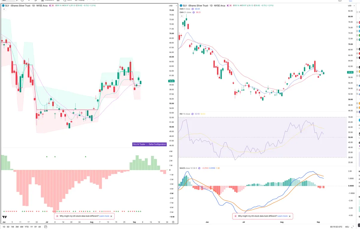 SLV — Delta + Technical