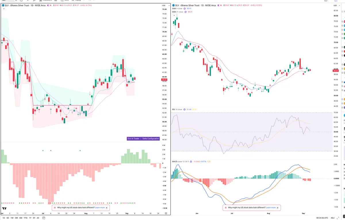 SLV — Delta + Technical