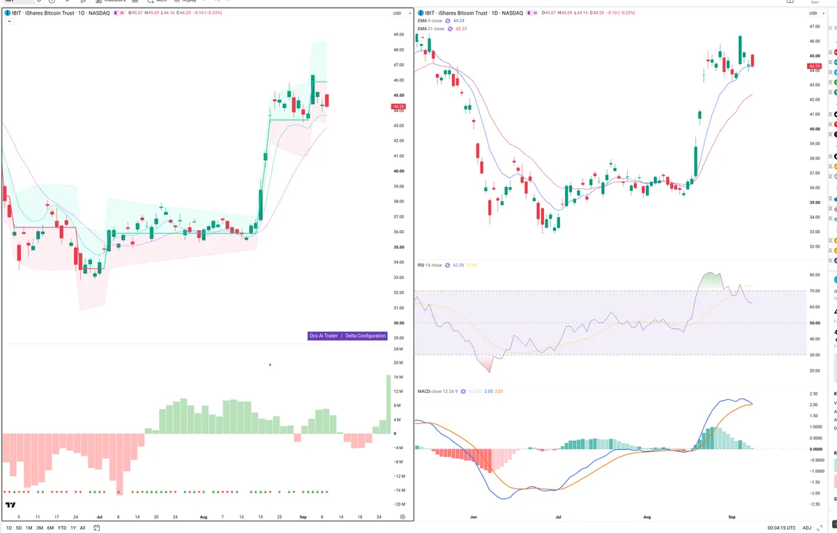 IBIT — Delta + Technical