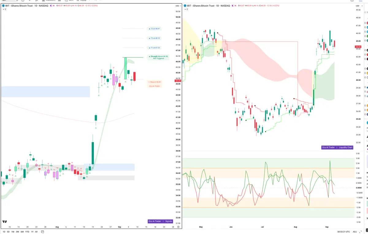IBIT — Signals + Liquidity