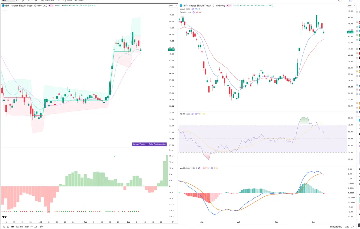 IBIT — Delta + Technical